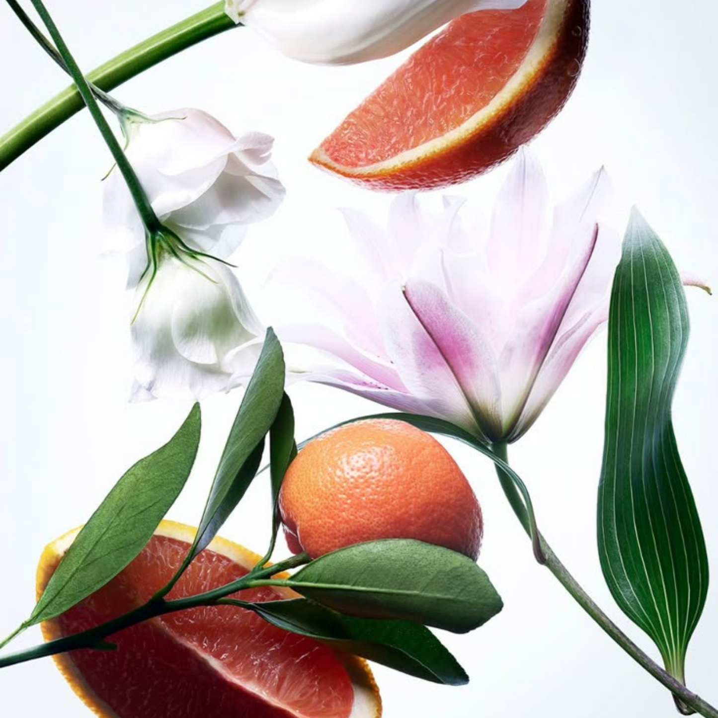 DELICATE PERFUME